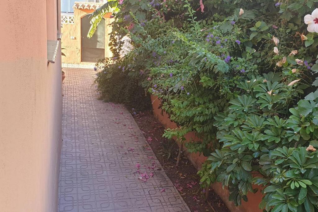 Casa Hurtado De Mendoza Pequena Almuñécar Dış mekan fotoğraf